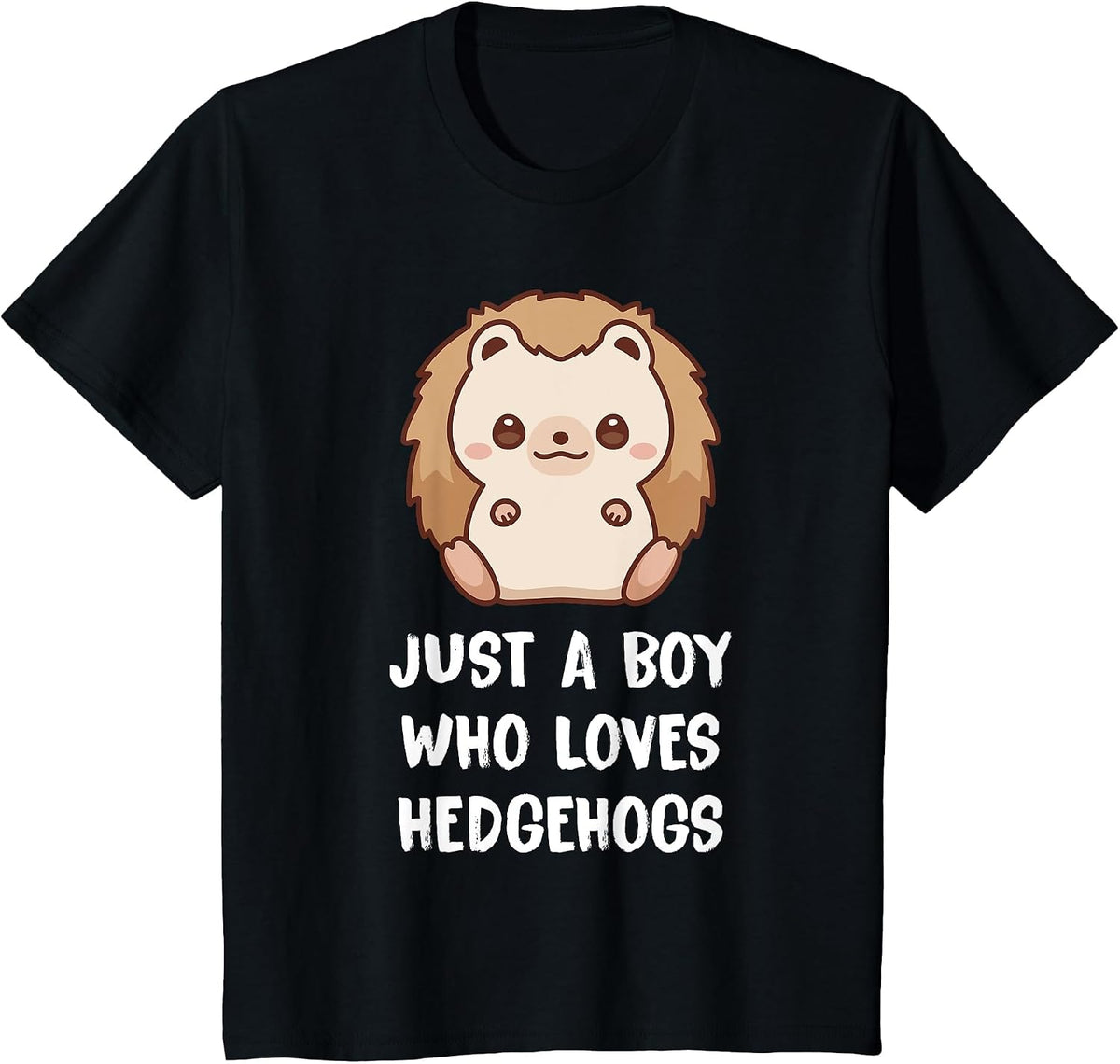 Just A Boy Who Loves Hedgehogs T-Shirt - Black