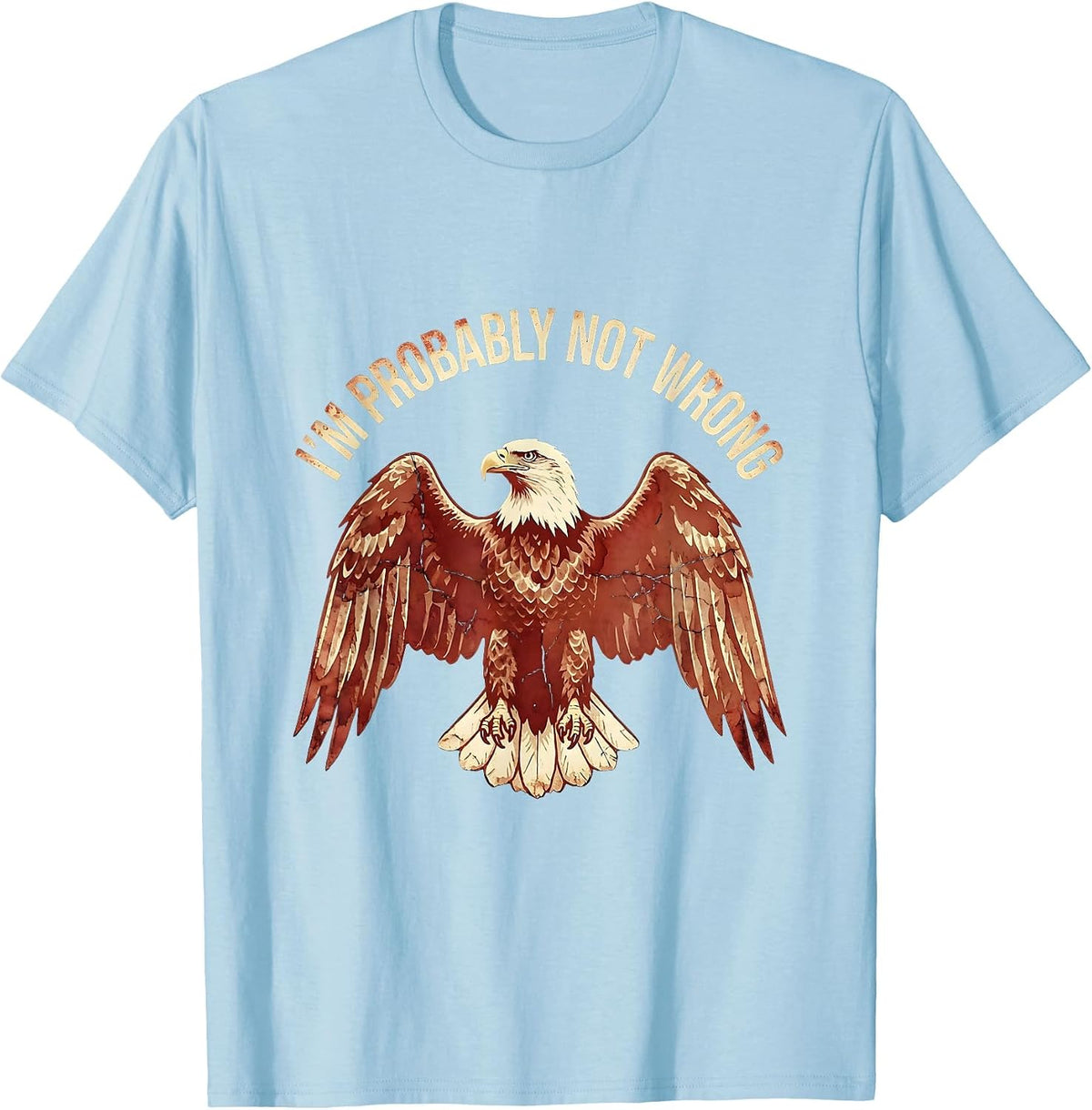 Men's I'm Probably Not Wrong Prove Me Wrong Design T-Shirt - Baby Blue