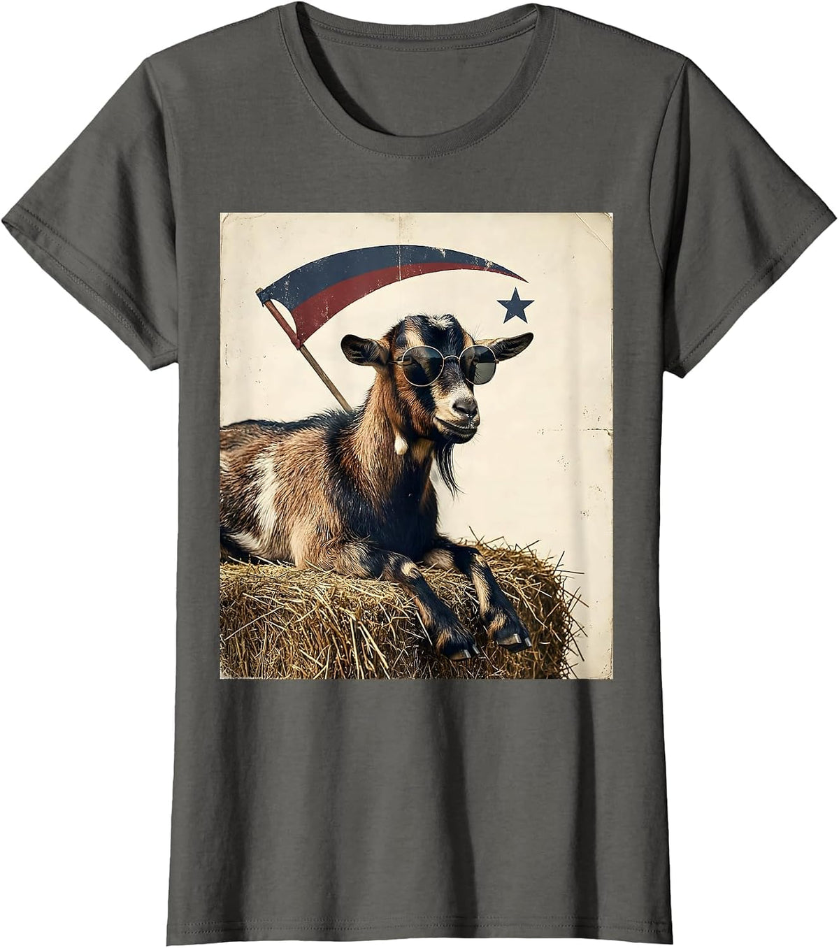 Women's Goat Sunglasses Vintage Funny Animal Lover Gift T-Shirt - Asphalt Grey