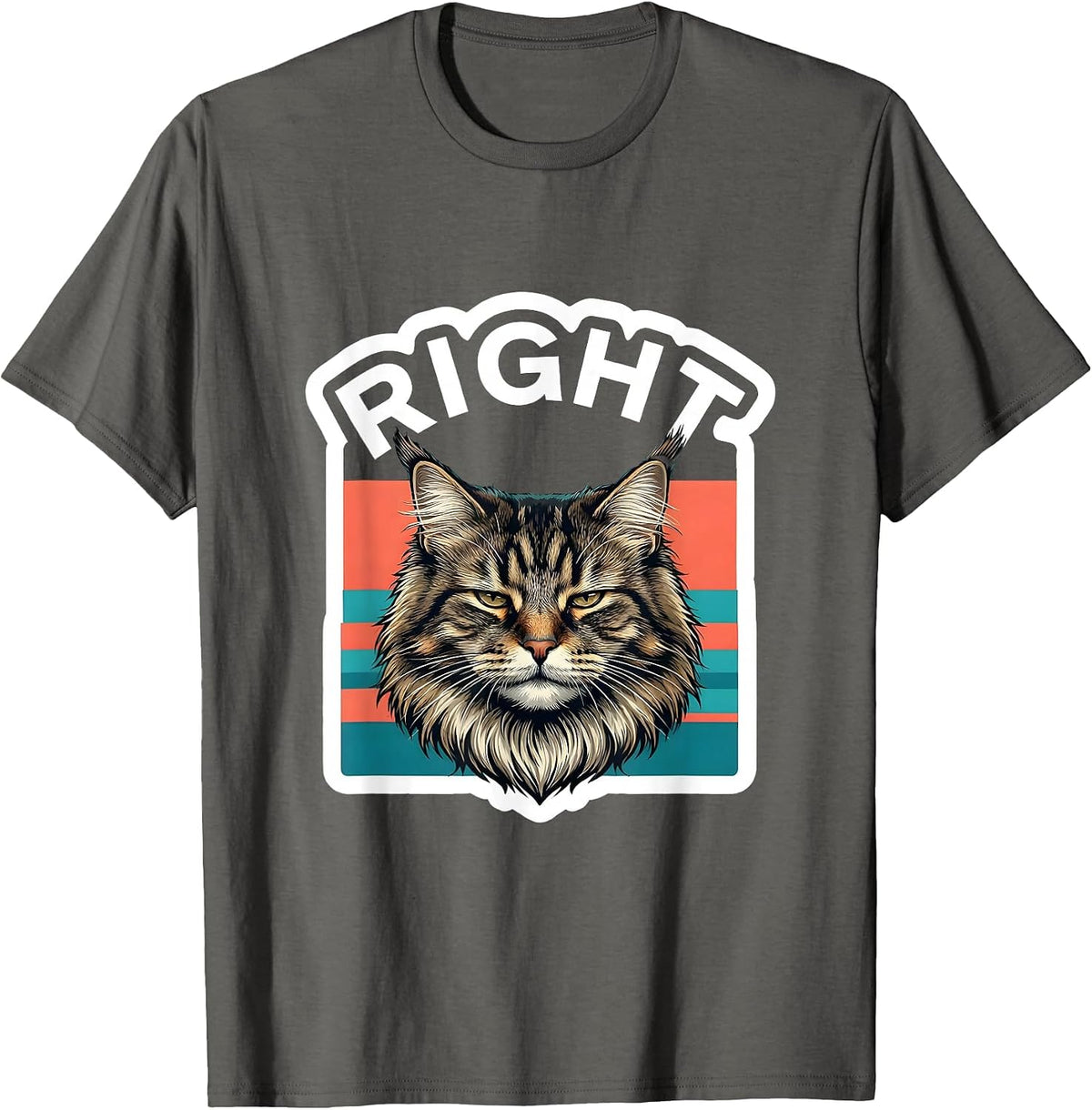 Right Funny Norwegian Forest Cat Meme Internet Humor T-Shirt - Asphalt Grey
