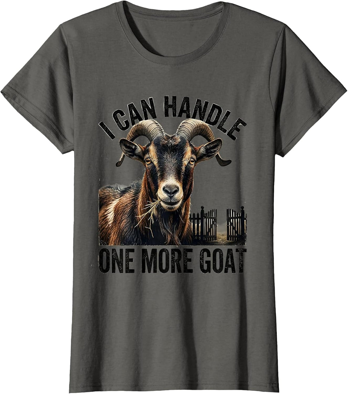 Women's I Can Handle One More Goat Funny Goat Lover Farmer Gift T-Shirt - Asphalt Grey
