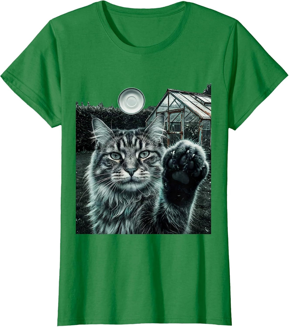 Women's Norwegian Forest Cat UFO Meme Funny Cat Owner Gift T-Shirt - Kelly Green