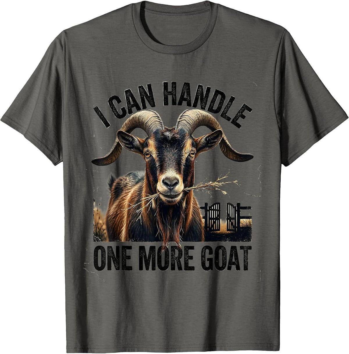 I Can Handle One More Goat Funny Goat Lover Farmer Gift T-Shirt - Asphalt Grey