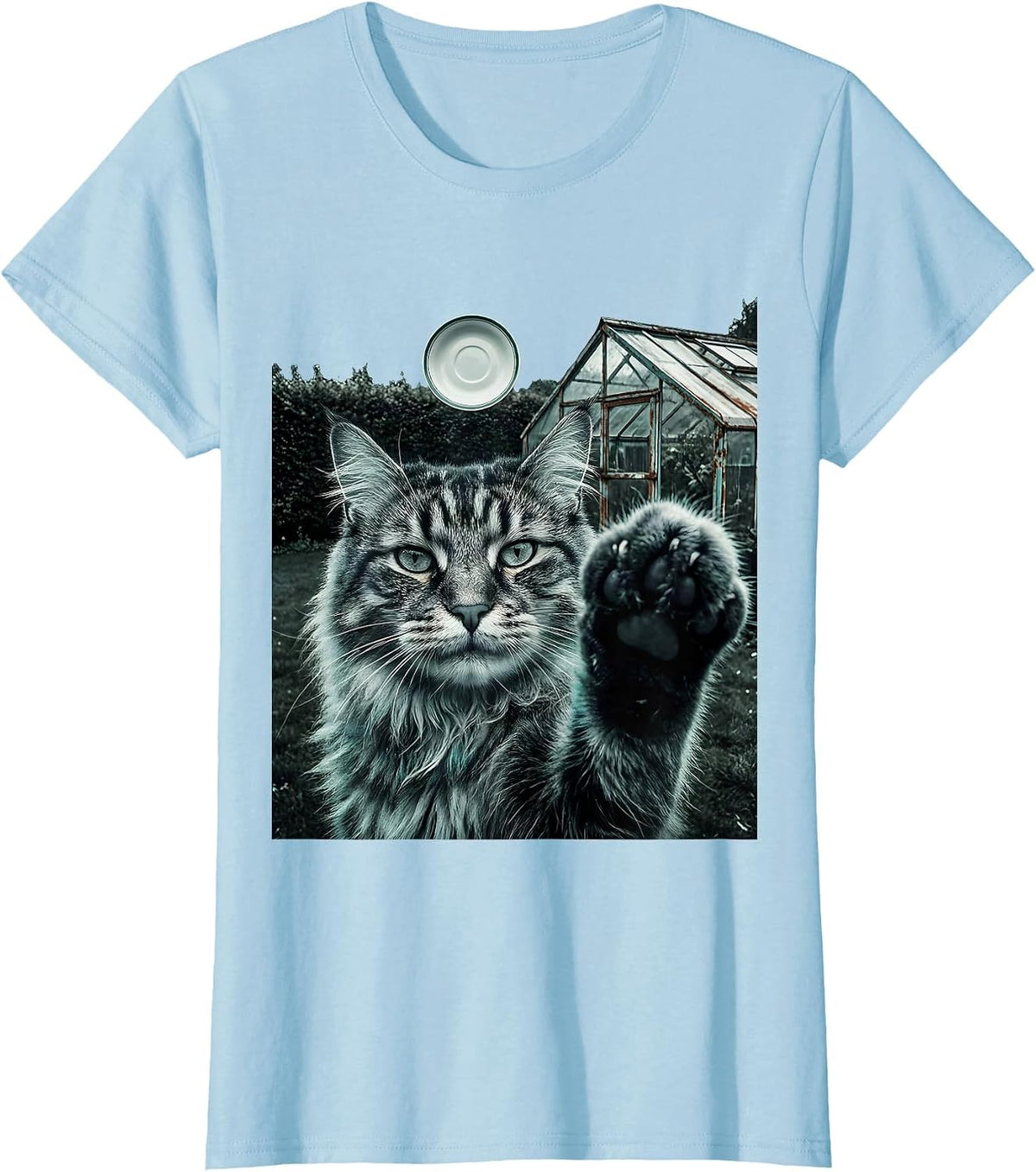Women's Norwegian Forest Cat UFO Meme Funny Cat Owner Gift T-Shirt - Baby Blue