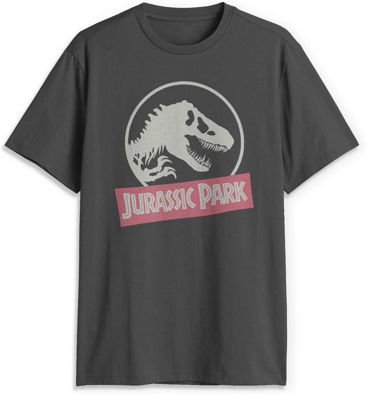 Men's Jurassic Park Distressed Logo T-Shirt - Charcoal