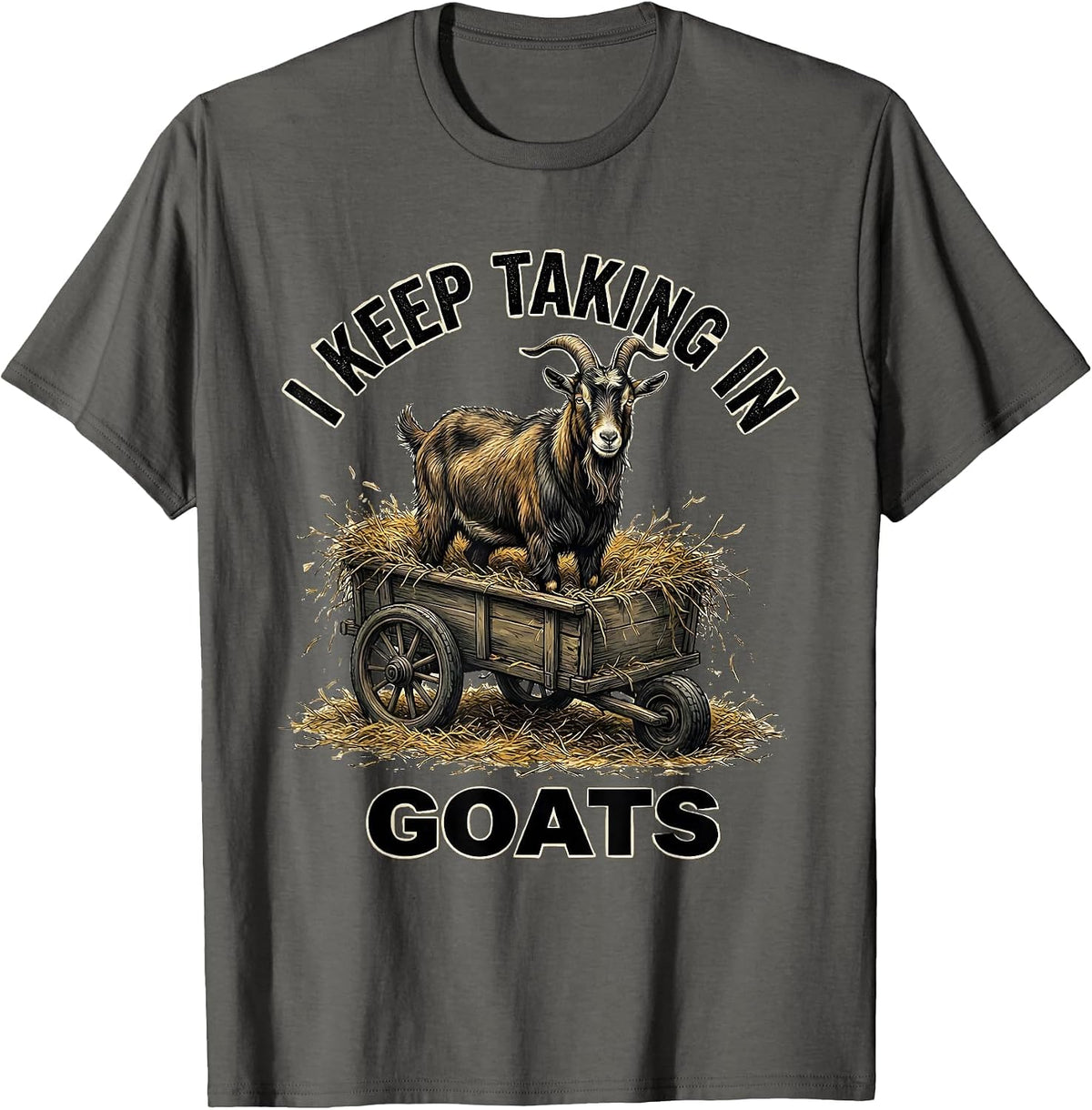 I Keep Taking In Goats Funny Goat Lover Farmer Gift T-Shirt - Asphalt Grey