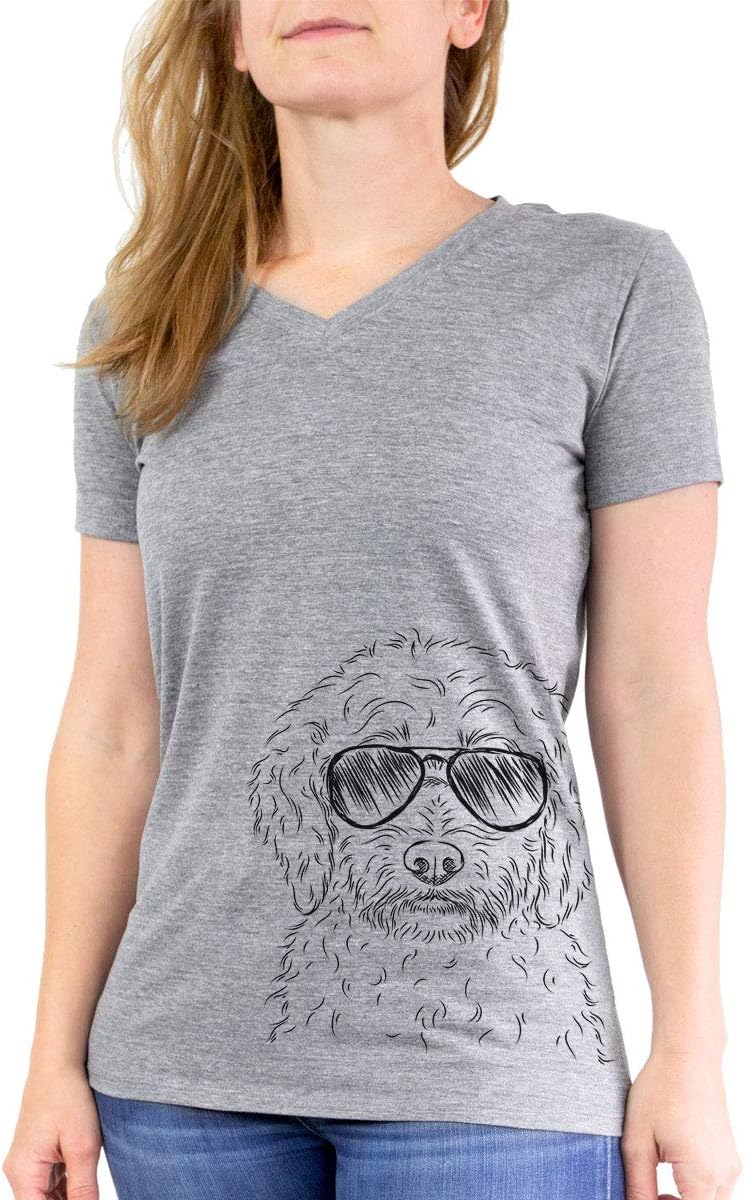 Teddy the Labradoodle Triblend T-Shirt - Grey Modern Fit V-neck