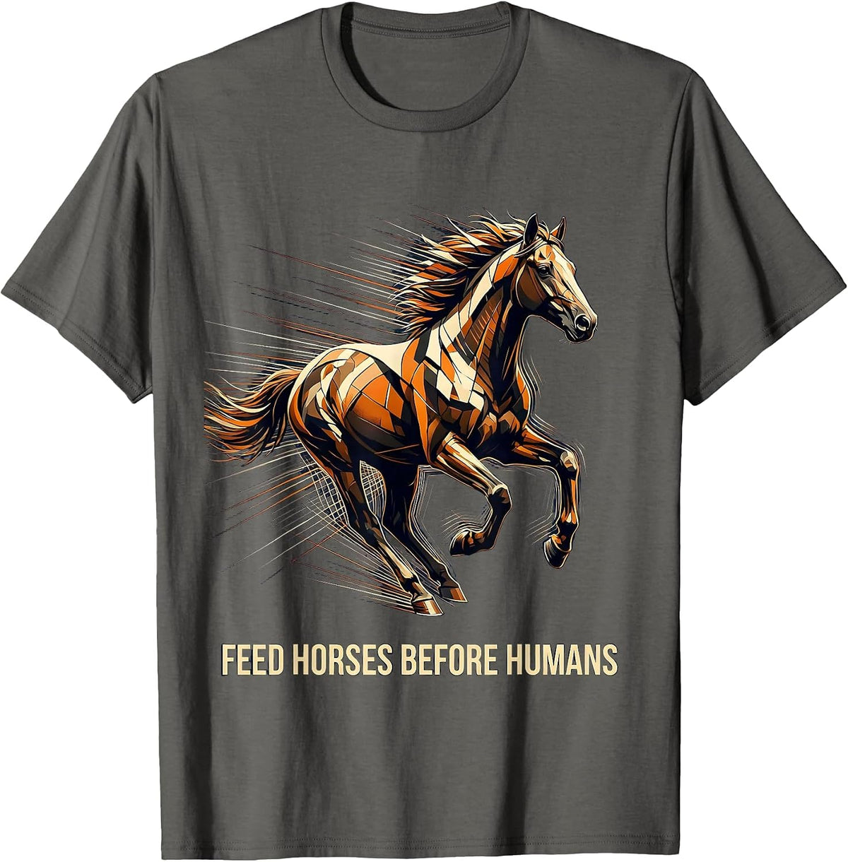 Feed Horses Before Humans Equestrian Design T-Shirt - Asphalt Grey