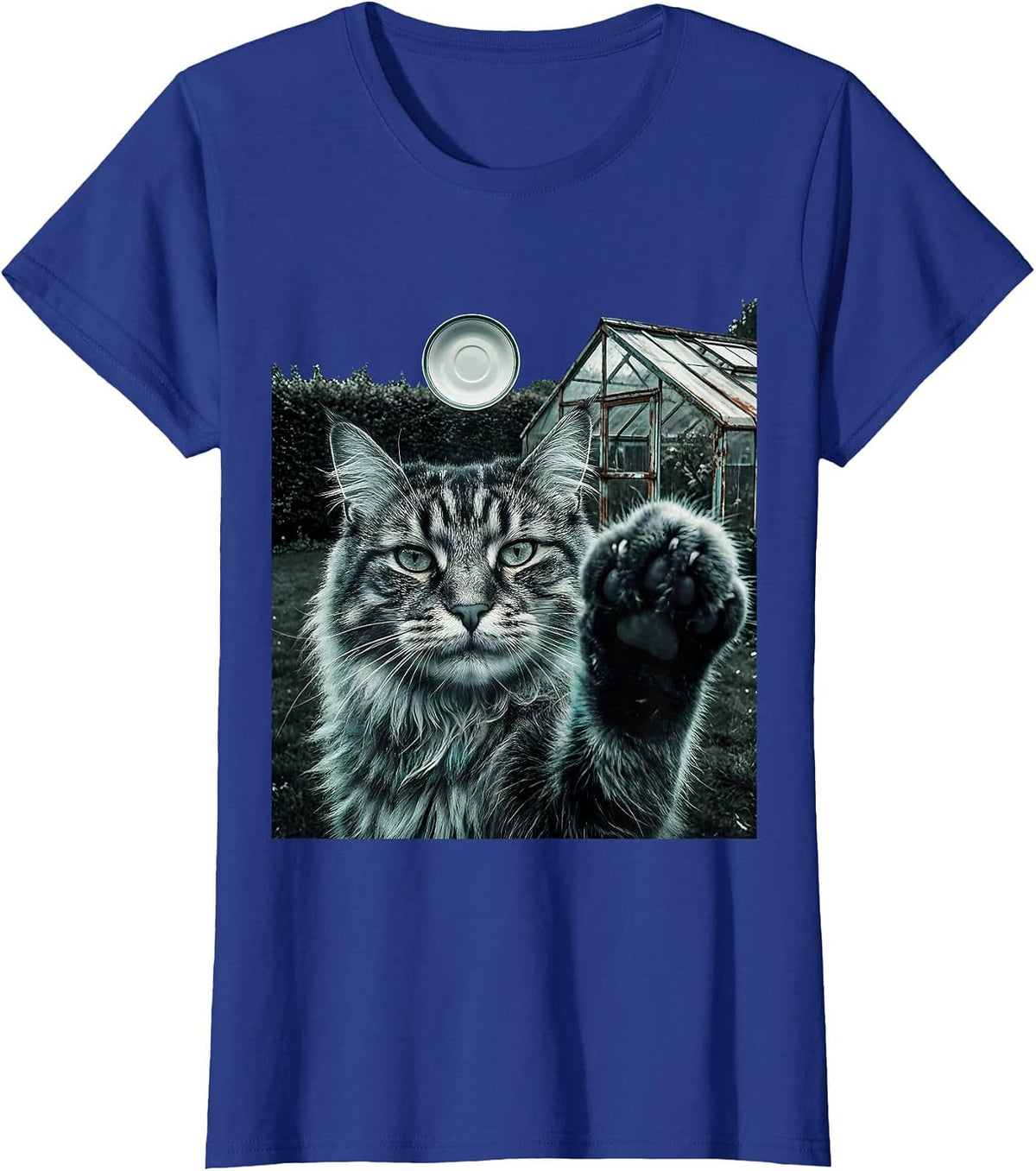 Women's Norwegian Forest Cat UFO Meme Funny Cat Owner Gift T-Shirt - Royal Blue