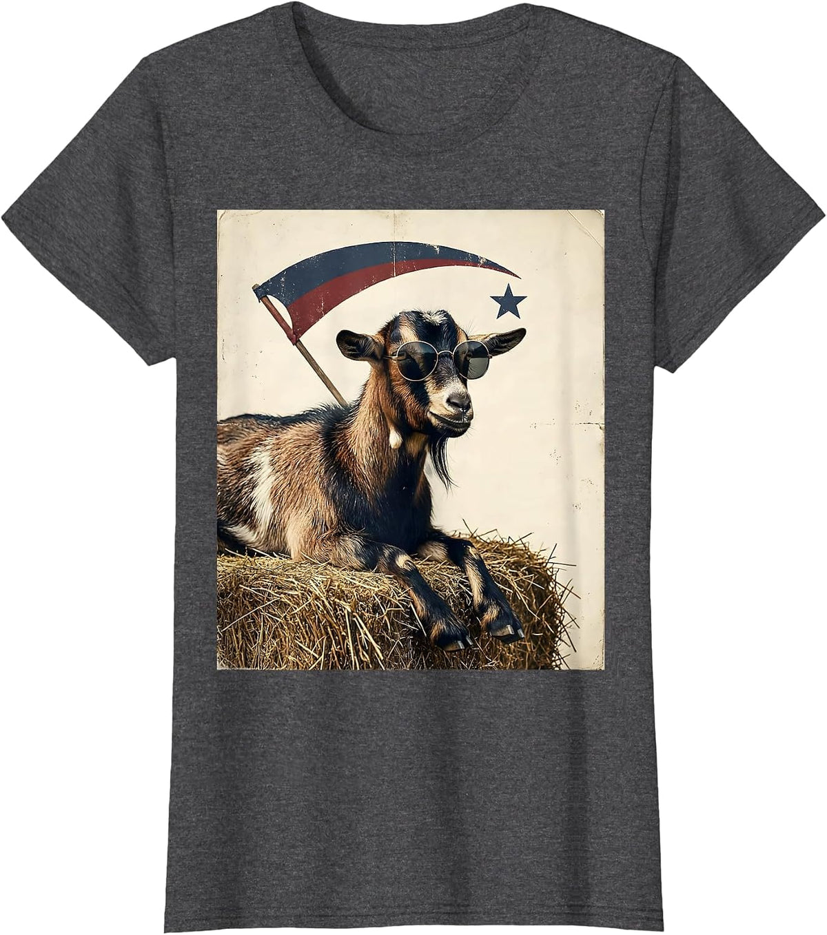 Women's Goat Sunglasses Vintage Funny Animal Lover Gift T-Shirt - Dark Heather Grey