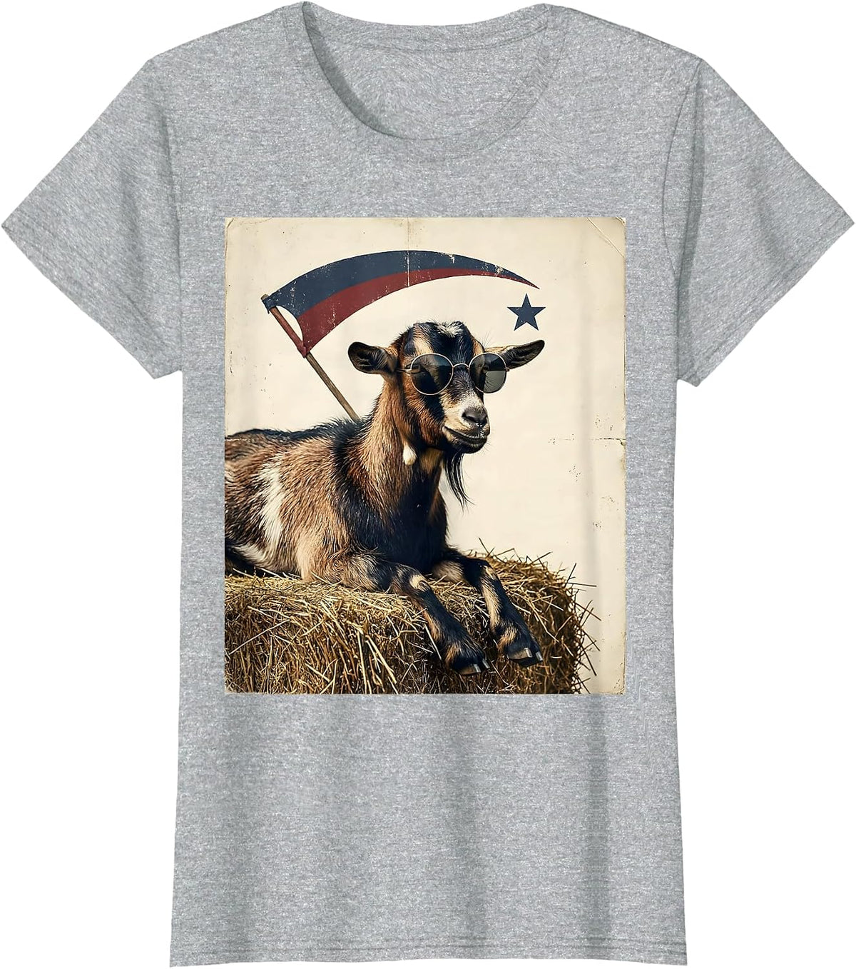 Women's Goat Sunglasses Vintage Funny Animal Lover Gift T-Shirt - Heather Grey
