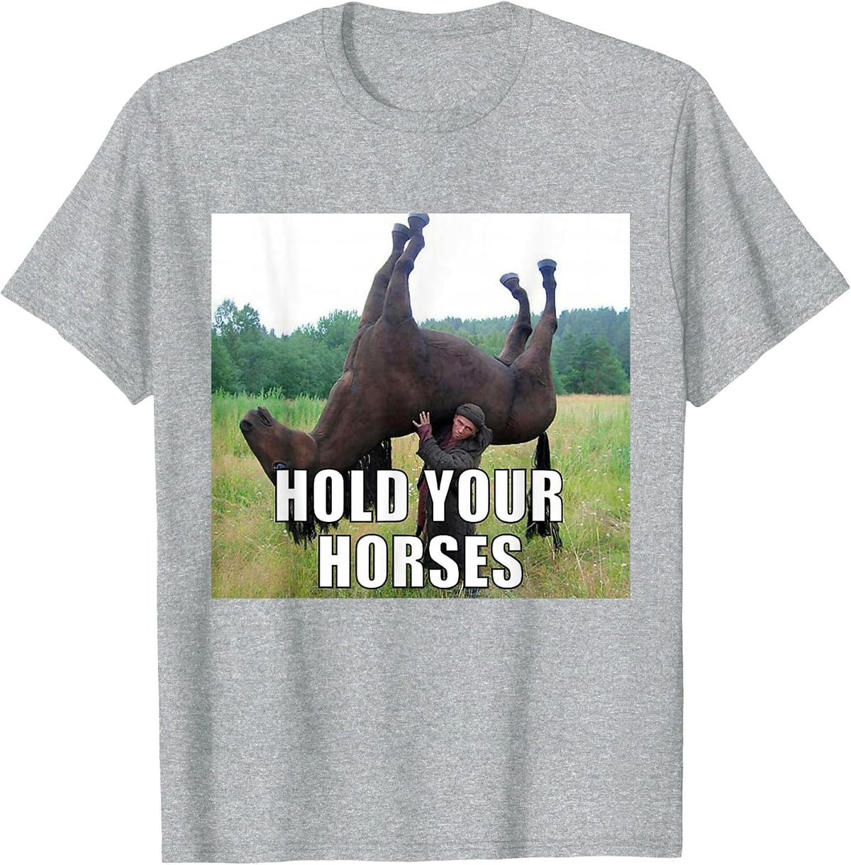 Hold Your Horses Funny Meme T-Shirt - Heather Grey