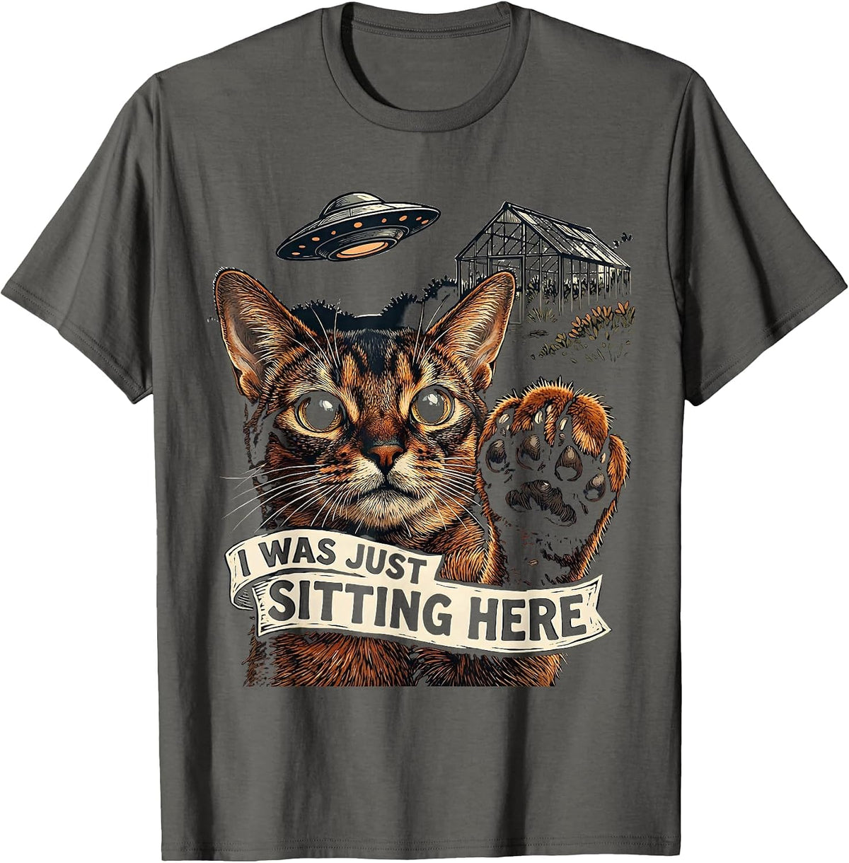 I Was Just Sitting Here Funny Cat UFO Alien Meme Gift T-Shirt - Asphalt Grey