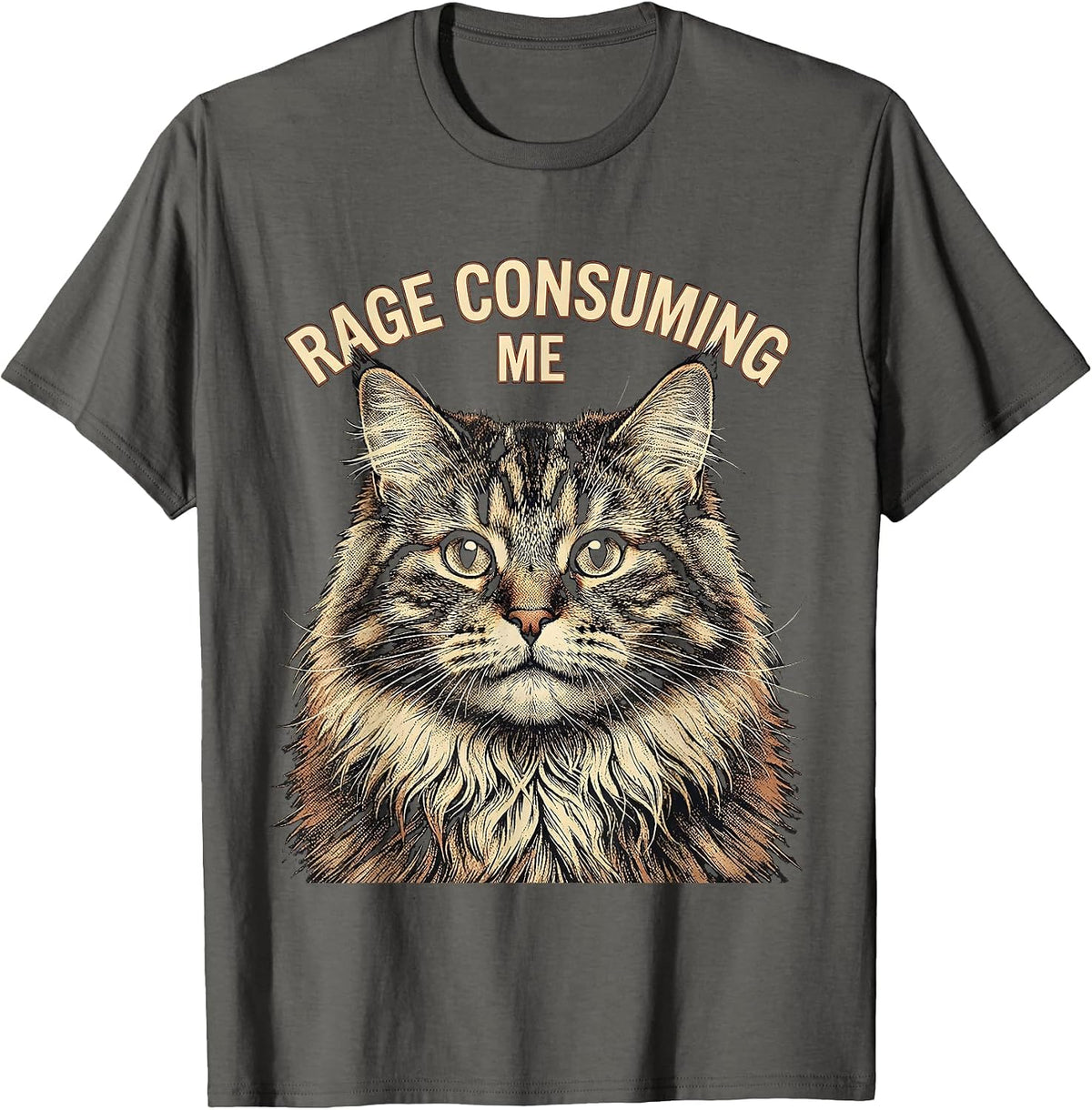 Men's Rage Consuming Me Funny Silly Staring Cat Meme Cat Lover T-Shirt - Asphalt Grey