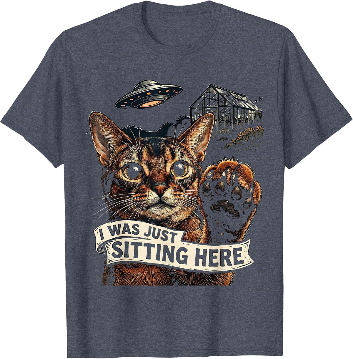I Was Just Sitting Here Funny Cat UFO Alien Meme Gift T-Shirt - Heather Blue