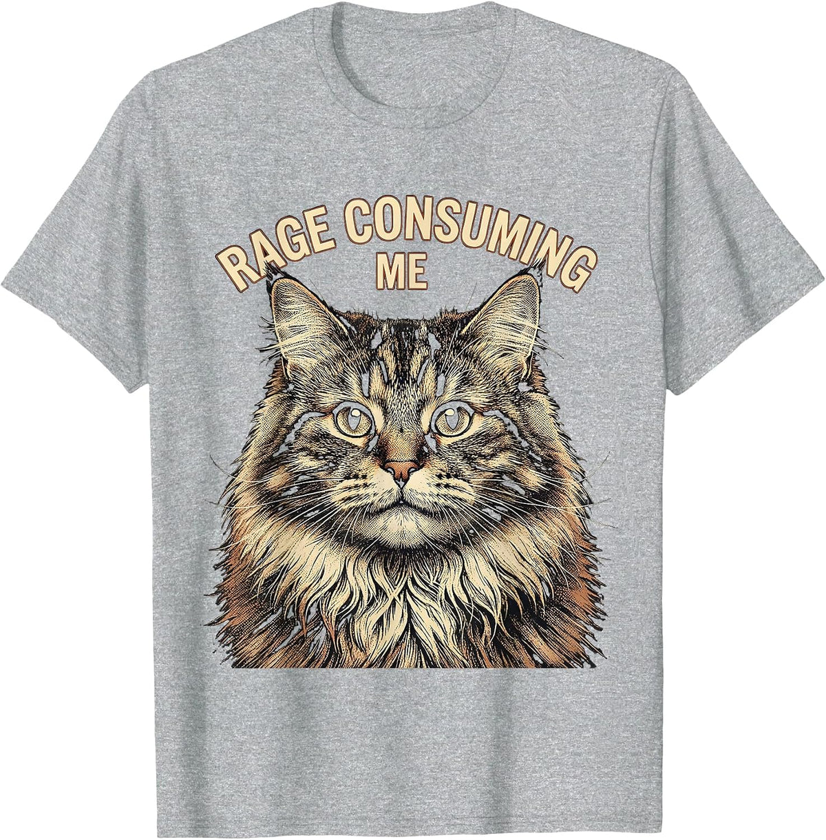 Men's Rage Consuming Me Funny Silly Staring Cat Meme Cat Lover T-Shirt - Heather Grey