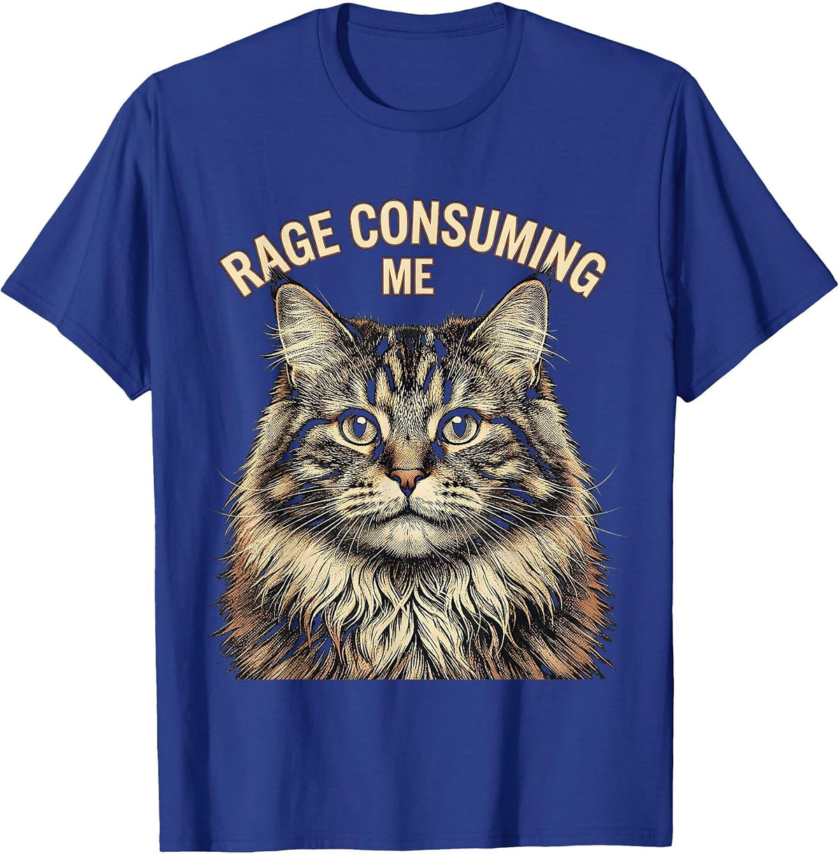 Men's Rage Consuming Me Funny Silly Staring Cat Meme Cat Lover T-Shirt - Royal Blue