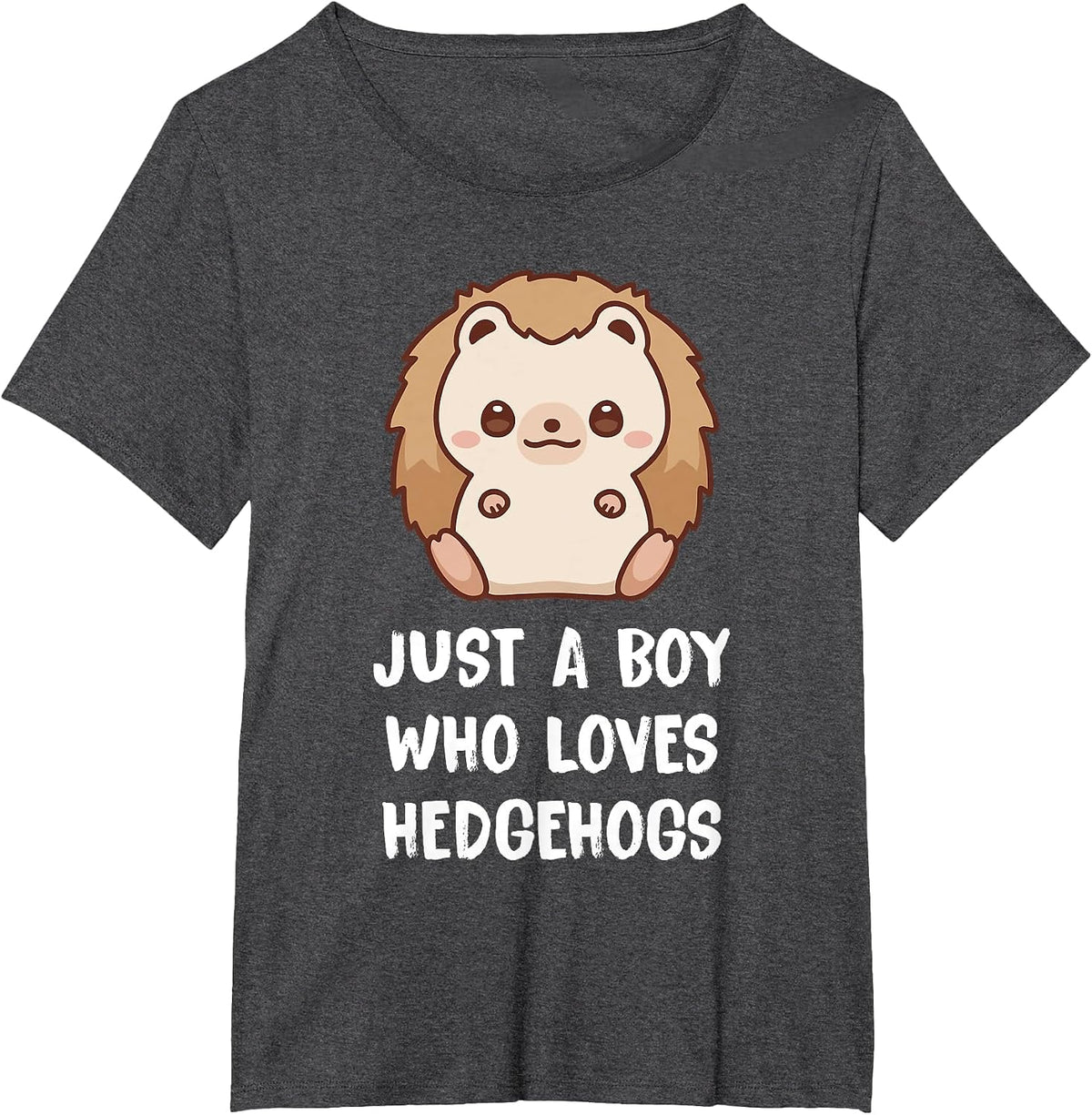 Just A Boy Who Loves Hedgehogs T-Shirt - Dark Heather Grey