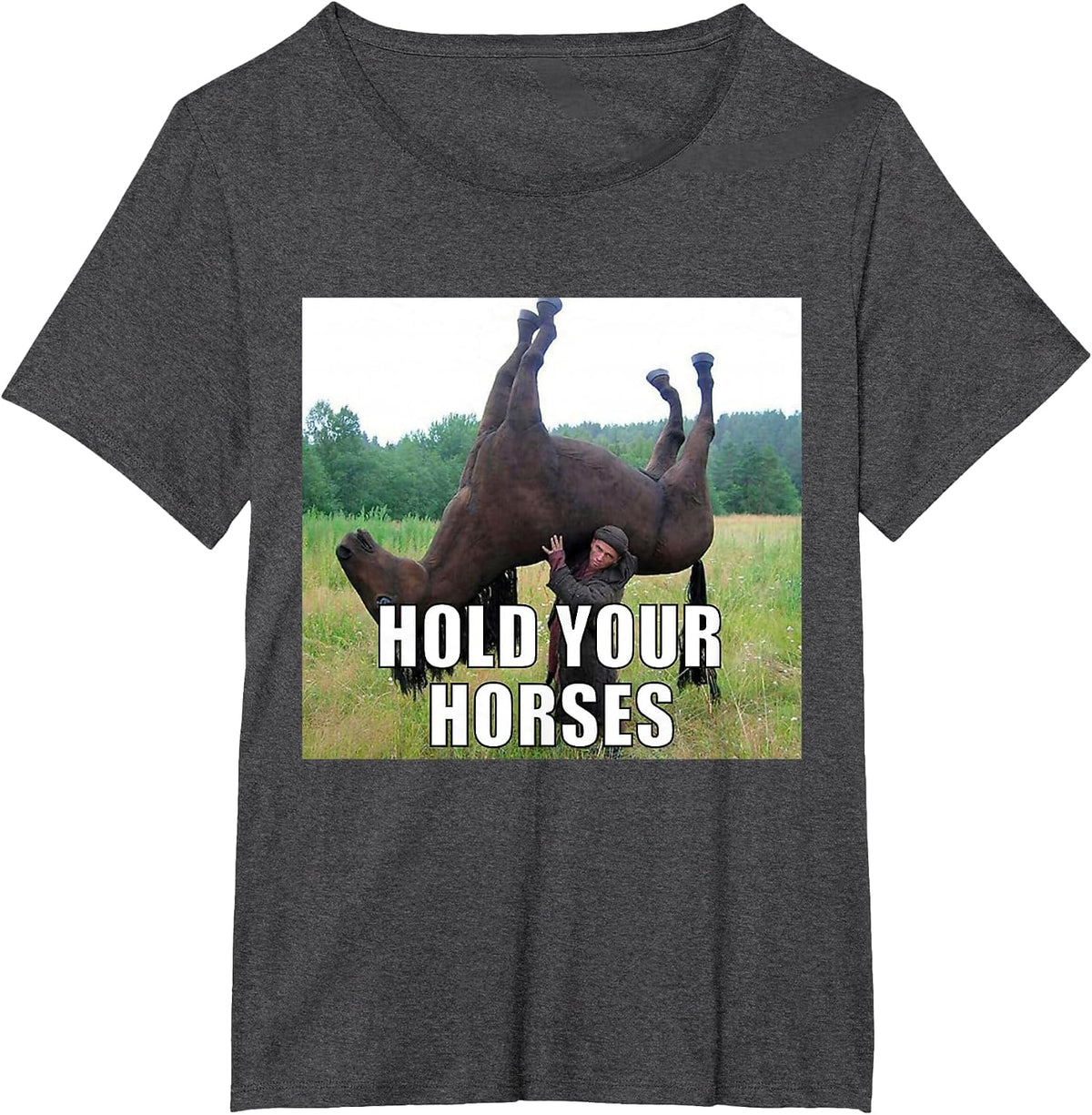 Hold Your Horses Funny Meme T-Shirt - Dark Heather Grey