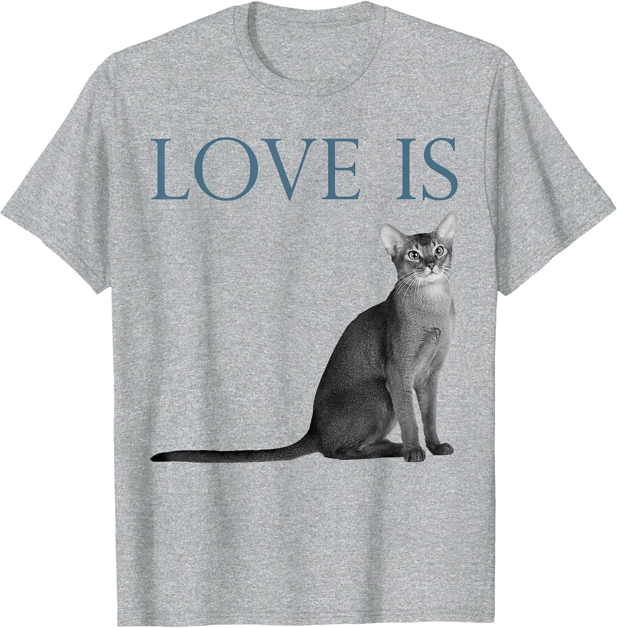 Love is Abyssinian Cat T-Shirt - Heather Grey