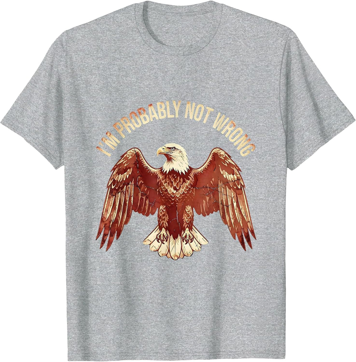 Men's I'm Probably Not Wrong Prove Me Wrong Design T-Shirt - Heather Grey