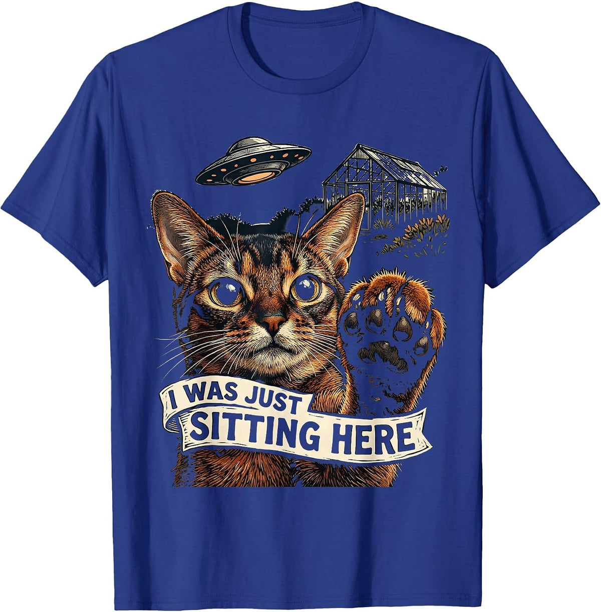 I Was Just Sitting Here Funny Cat UFO Alien Meme Gift T-Shirt - Royal Blue