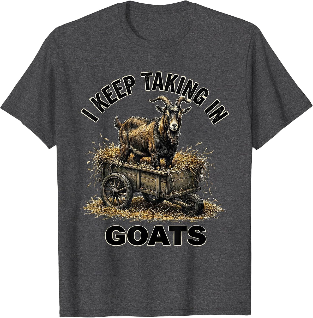 I Keep Taking In Goats Funny Goat Lover Farmer Gift T-Shirt - Dark Heather Grey