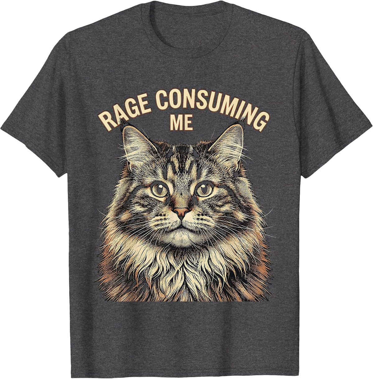 Men's Rage Consuming Me Funny Silly Staring Cat Meme Cat Lover T-Shirt - Dark Heather Grey