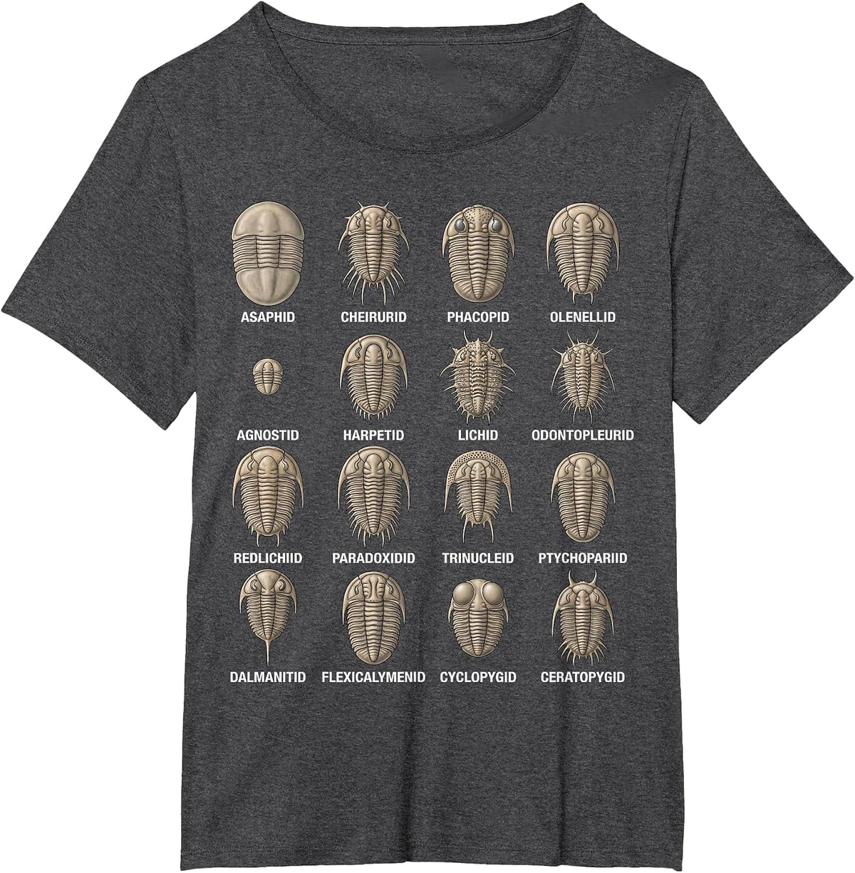 Trilobite Families Chart Paleontology Science Fossil Lovers T-Shirt - Dark Heather Grey