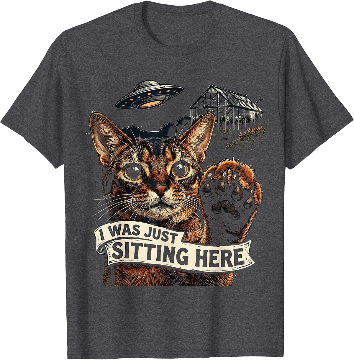 I Was Just Sitting Here Funny Cat UFO Alien Meme Gift T-Shirt - Dark Heather Grey