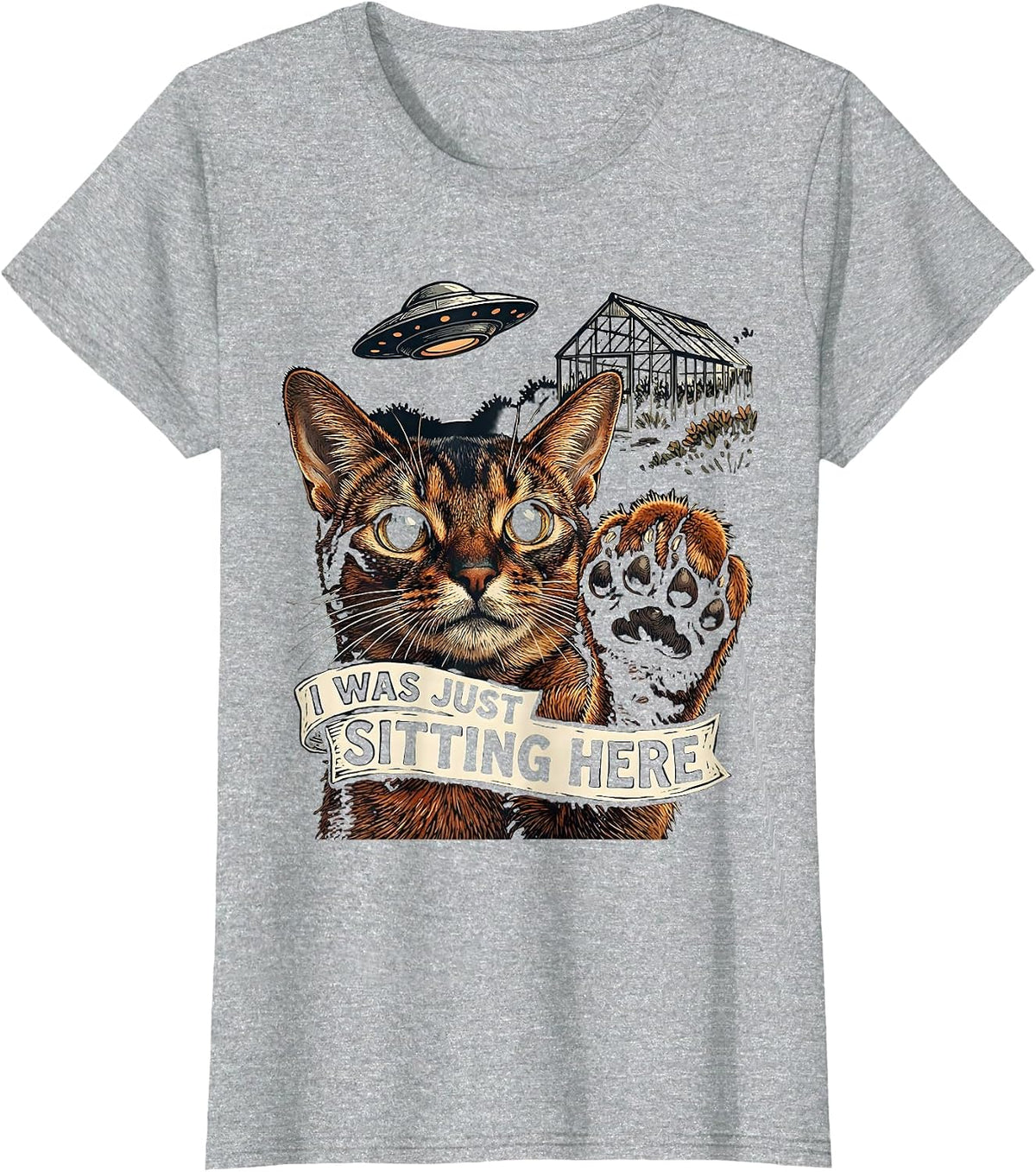 I Was Just Sitting Here Funny Cat UFO Alien Meme Gift T-Shirt - Heather Grey