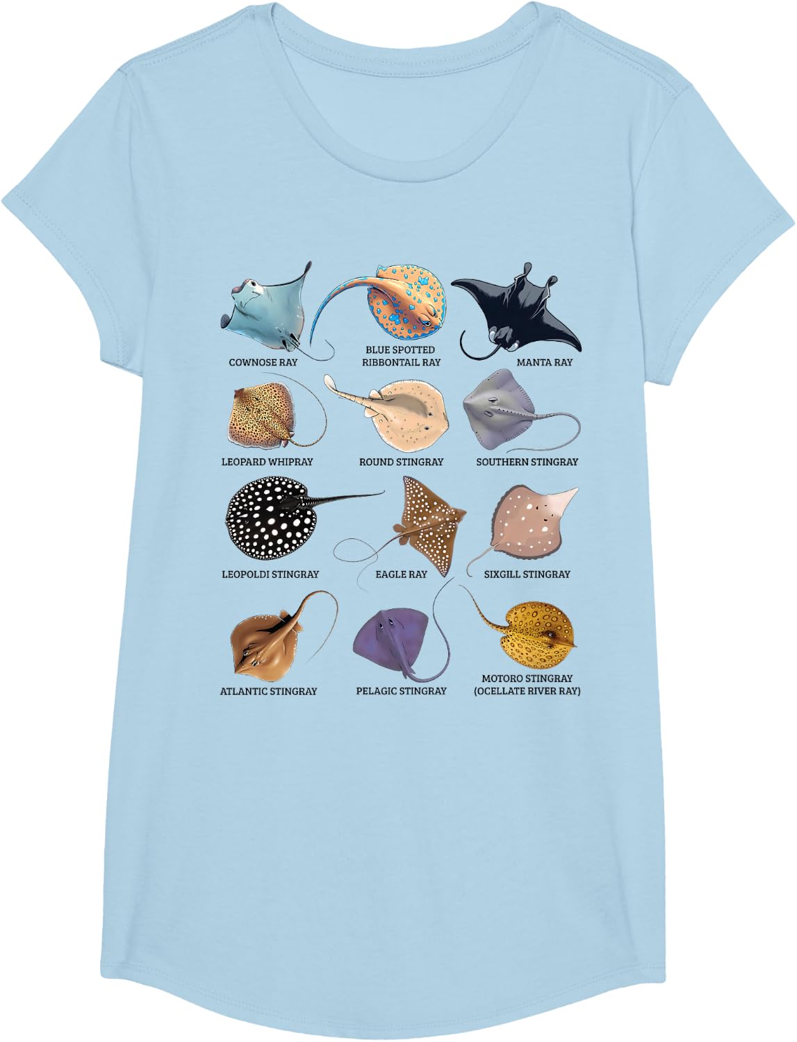 Types of Stingray Ocean Life Stingray Species Educational T-Shirt - Girls Baby Blue