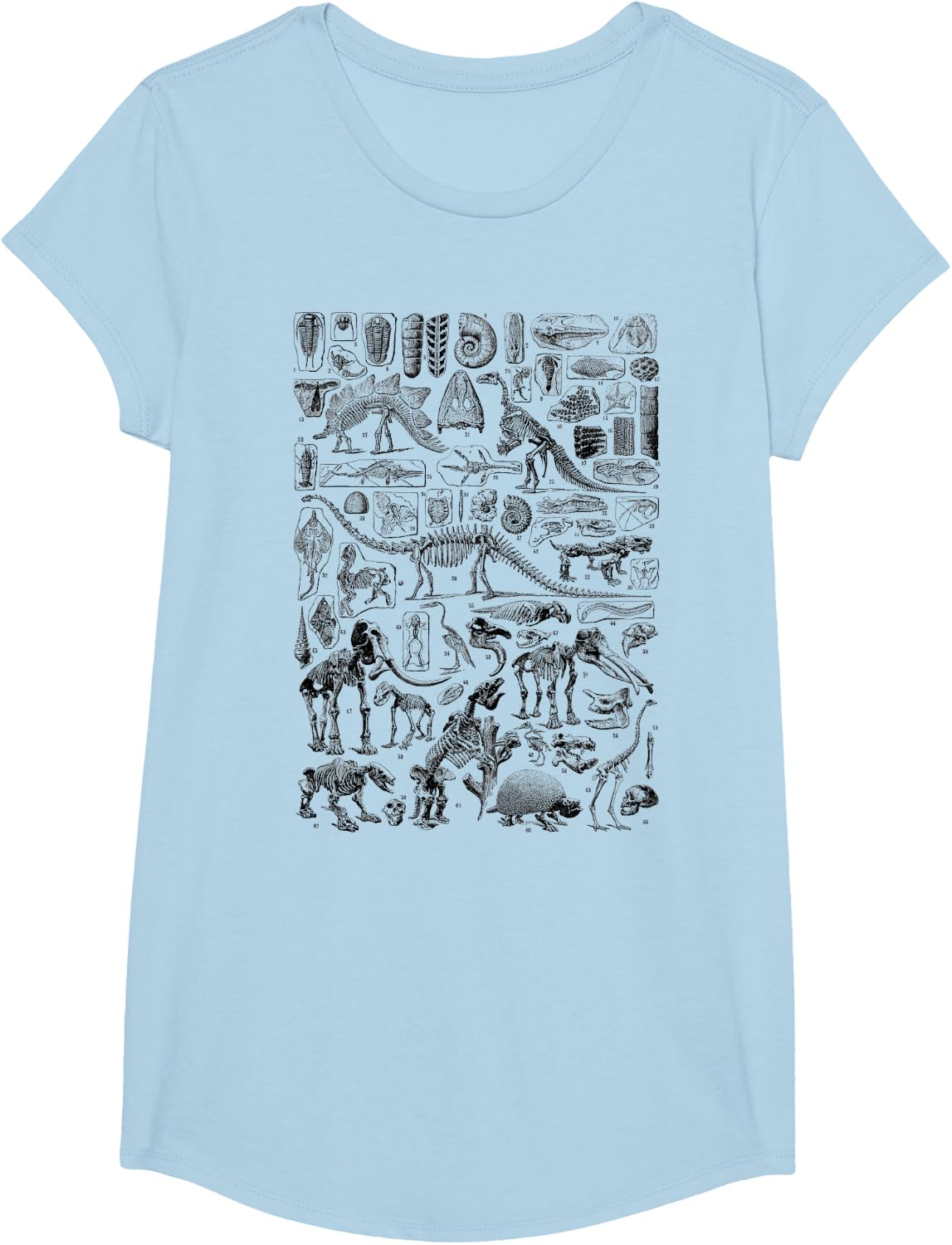Vintage Dinosaur Fossils T-Rex Paleontology Tees Jurassic Period T Shirts - Girls Baby Blue