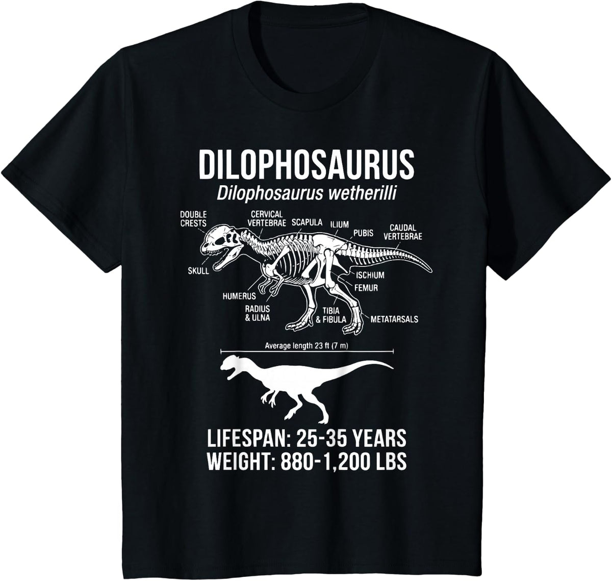 Dilophosaurus Diagram Fossil T-Shirt - Black