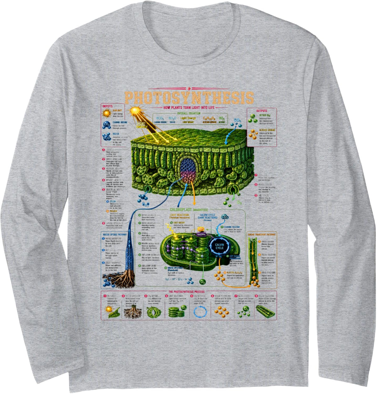 Photosynthesis Science Diagram Biology Education Gifts Men Long Sleeve T-Shirt - Adult Unisex Heather Grey