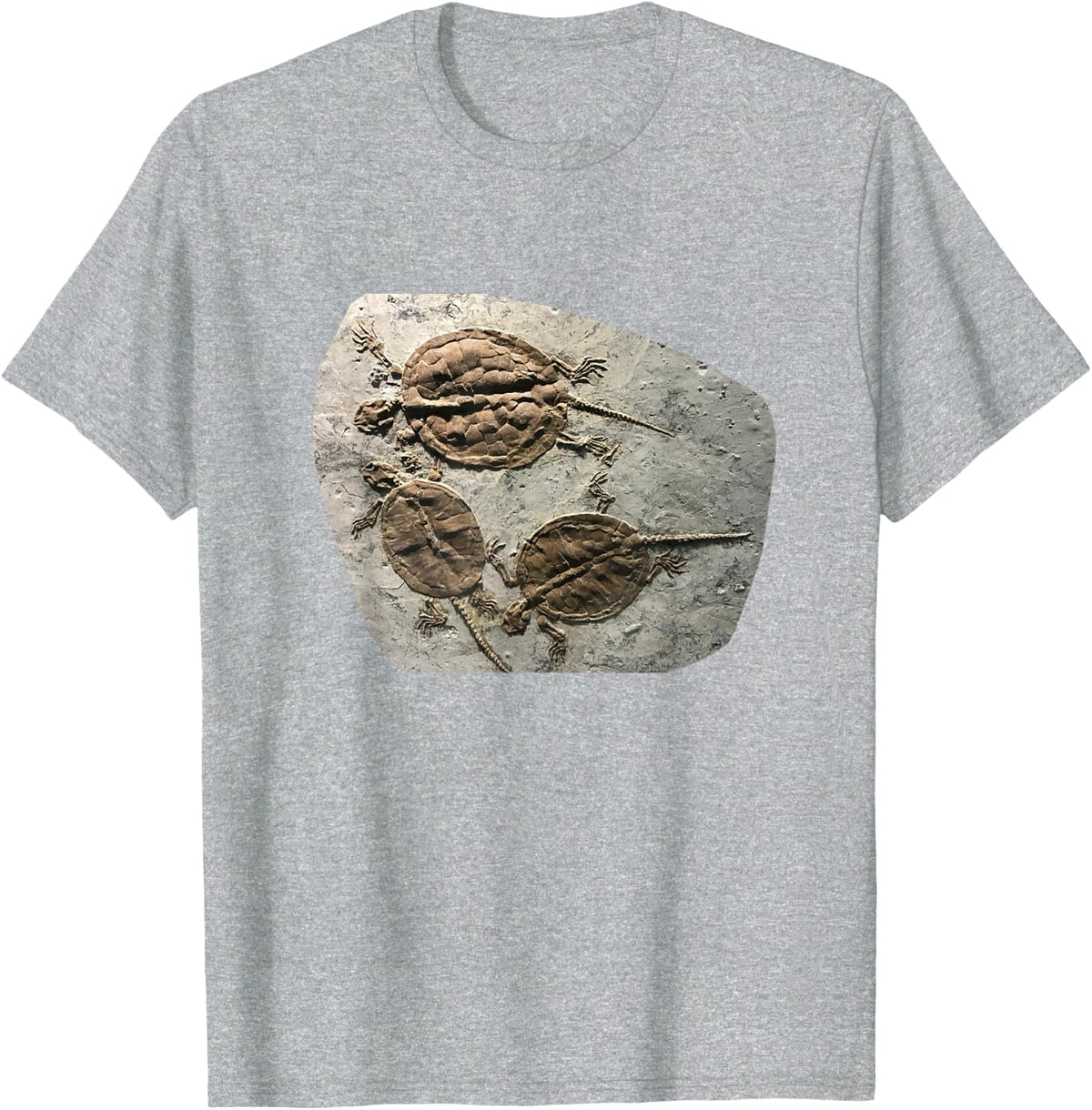 Fossil Turtle T-shirt T-Shirt - Heather Grey