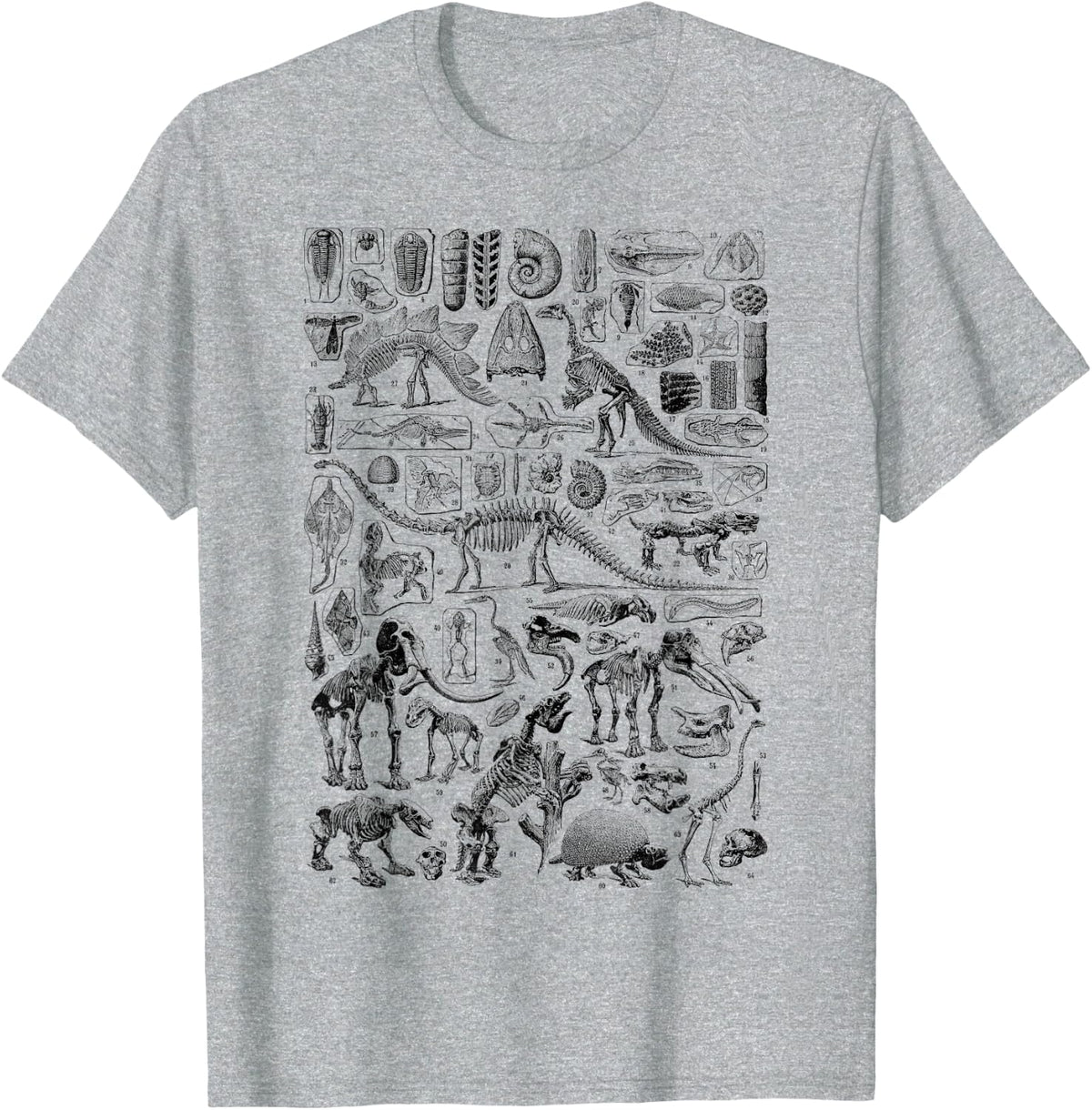 Vintage Dinosaur Fossils T-Rex Paleontology Tees Jurassic Period T Shirts - Heather Grey